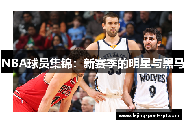 NBA球员集锦：新赛季的明星与黑马