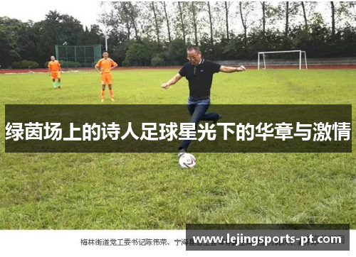绿茵场上的诗人足球星光下的华章与激情