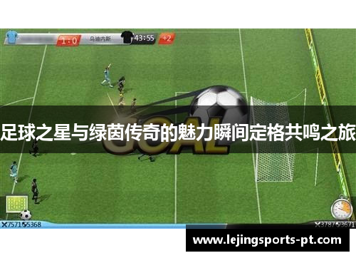 足球之星与绿茵传奇的魅力瞬间定格共鸣之旅